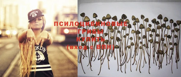 дмт Алзамай