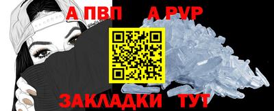 шишки Кингисепп