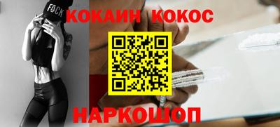 шишки Кингисепп