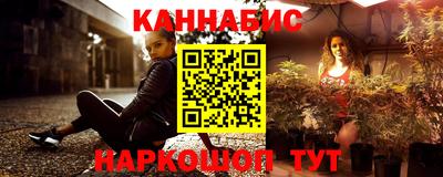 шишки Кингисепп