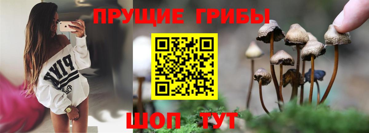Псилоцибиновые грибы прущие грибы  где купить наркоту  Лабинск  Вход с VPN 